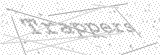 Security Picture (click to change)