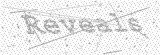 Security Picture (click to change)