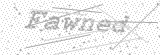Security Picture (click to change)