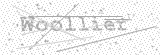Security Picture (click to change)