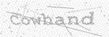 Security Picture (click to change)
