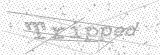 Security Picture (click to change)