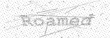 Security Picture (click to change)