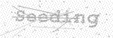 Security Picture (click to change)