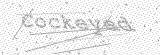 Security Picture (click to change)