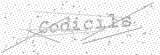 Security Picture (click to change)