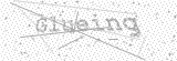 Security Picture (click to change)