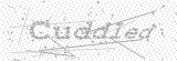 Security Picture (click to change)