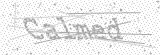 Security Picture (click to change)