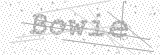 Security Picture (click to change)