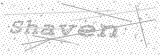Security Picture (click to change)