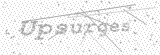 Security Picture (click to change)