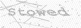 Security Picture (click to change)