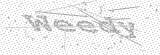 Security Picture (click to change)