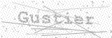 Security Picture (click to change)