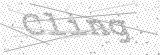 Security Picture (click to change)