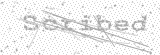 Security Picture (click to change)
