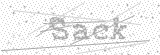 Security Picture (click to change)