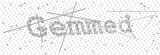 Security Picture (click to change)