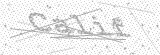 Security Picture (click to change)