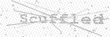 Security Picture (click to change)