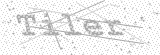 Security Picture (click to change)