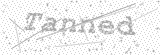 Security Picture (click to change)