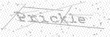 Security Picture (click to change)