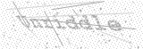 Security Picture (click to change)