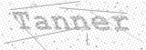 Security Picture (click to change)