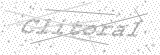 Security Picture (click to change)