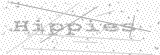 Security Picture (click to change)