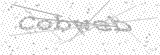 Security Picture (click to change)