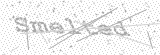 Security Picture (click to change)
