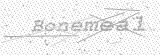 Security Picture (click to change)