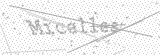 Security Picture (click to change)
