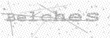Security Picture (click to change)