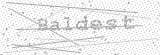 Security Picture (click to change)