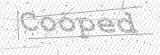 Security Picture (click to change)