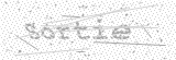 Security Picture (click to change)