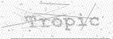 Security Picture (click to change)