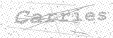 Security Picture (click to change)