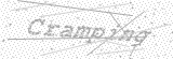 Security Picture (click to change)