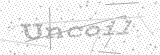 Security Picture (click to change)