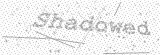 Security Picture (click to change)