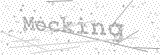 Security Picture (click to change)