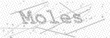 Security Picture (click to change)