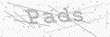 Security Picture (click to change)