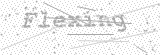 Security Picture (click to change)
