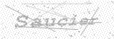 Security Picture (click to change)